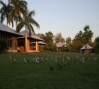 Feathers Sanctuary, Darwin